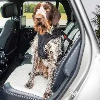 Bilde av KONG Ultimate Bilbelte Hund Hund - Hundebur - Bilbelte hund