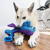Bilde av KONG Woozles Myk Leke Blå Hund - Hundeleker - Pipeleker