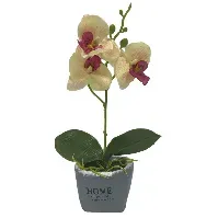 Bilde av Kunstig Gul orkidé - I et fint skjul - Høyde 26 cm Innredning , Dekorasjon  , Kunstige planter , Kunstige blomster