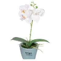 Bilde av Kunstig hvit orkidé - I et fint skjul - Høyde 26 cm Innredning , Dekorasjon  , Kunstige planter , Kunstige blomster