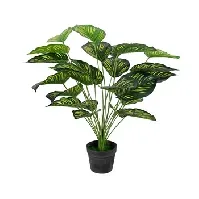 Bilde av Kunstig plante 70 cm - Calathea med store vakre grønne blader Innredning , Dekorasjon  , Kunstige planter