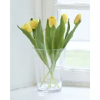 Bilde av Kunstplante Tulipan 5-pk 36 cm Strikking, pynt, garn og strikkeoppskrifter