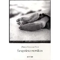 Bilde av Lengselens meridian av Øystein Wingaard Wolf - Skjønnlitteratur