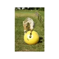 Bilde av Maximus Power Play Ball 100cm 1 st Kjæledyr - Hest - Godbiter og slikker