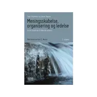 Bilde av Meningsskabelse, organisering og ledelse | Sverri Hammer og James Høpner | Språk: Dansk Bøker - Skole & lærebøker