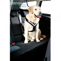Bilde av MiM All Safe bilsele (XL) Hund - Hundebur - Bilbelte hund