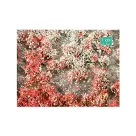 Bilde av Mini natur 726-22 S Blomst tot Sommer Hobby - Modelltog - Terrengkonstruksjon