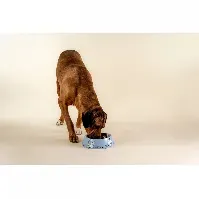 Bilde av Moomin for Pets Matskål för Hund och Katt (XL Blå) Hund - Matplass - Hundeskåler
