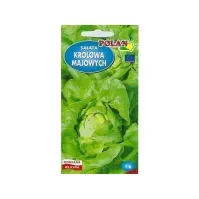Bilde av Nasiona Lactuca sativa - ekte salat (smørsalat) frø 1g Belysning - Innendørsbelysning - Bordlamper