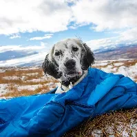 Bilde av Non-stop Dogwear Ly Sovepose til hund (Medium) Hund - Hundesenger - Sovepose til hund