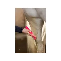 Bilde av Paardenpraat Grooming Brush Medium pink 1 st Kjæledyr - Hest - Pleie