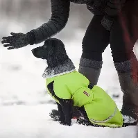 Bilde av Pomppa Toppa Ekstra Varmt Vinterdekken Grøn (25 cm) Hund - Hundeklær - Vinterdekken hund