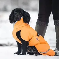 Bilde av Pomppa Toppa Ekstra Varmt Vinterdekken Gul (65 cm) Hund - Hundeklær - Vinterdekken hund
