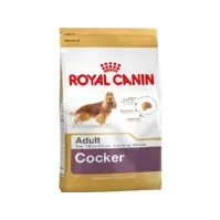 Bilde av Royal Canin Cocker Adult, Adult, Cocker spaniel, Medium (11 - 25 kg), Mais, Fjærfe, Ris, 12 kg Kjæledyr - Hund - - Tørr hundemat