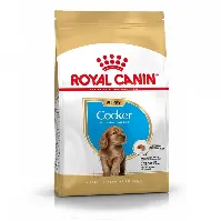 Bilde av Royal Canin Cocker Spaniel Puppy (3 kg) Hund - Hundemat - Tørrfôr