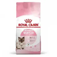 Bilde av Royal Canin Mother & Babycat (10 kg) Katt - Kattemat - Tørrfôr