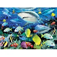Bilde av Royal&Langnickel - Paint by Numbers Reef Shark (304105) - Leker