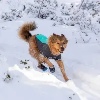 Bilde av Ruffwear Cloud Chaser Hundejakke Turkis (XL) Hund - Hundeklær - Hundedekken