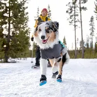 Bilde av Ruffwear Polar Trex Hundeskor 2-pakke Blå (L) Hund - Hundeklær - Hundesko & Potesokker