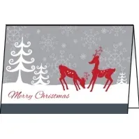 Bilde av Sigel Christmas Cards, 148 mm, 105 mm, 25 stykker Papir & Emballasje - Markering - Visittkort