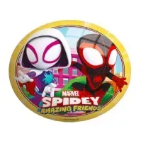 Bilde av Simba Colorful Ball 23cm John Spider-Man Utendørs lek - Basseng & vannlek - Badedyr & leker