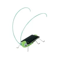 Bilde av Sol Expert 46125 46125 Solcelle græshopper Leker - Vitenskap & Oppdagelse - Grønn energi
