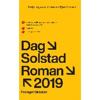 Bilde av Tredje, og siste, roman om Bjørn Hansen av Dag Solstad - Skjønnlitteratur