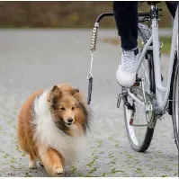 Bilde av Trixie Biker-set De Luxe Cykelset Hund - Hundetrening - Treningsredskap for hund