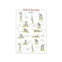 Bilde av Yoga for køer PLAKAT Bøker - Sport - Trening