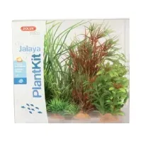 Bilde av Zolux Plant decoration PlantKit Jalaya model 4 (352148) Kjæledyr - Fisk & Reptil - Sand & Dekorasjon