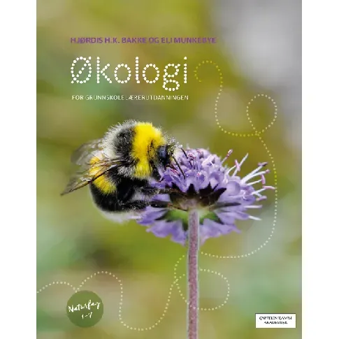 Bilde av best pris Økologi for grunnskolelærerutdanningen - En bok av Hjørdis H. K. Bakke