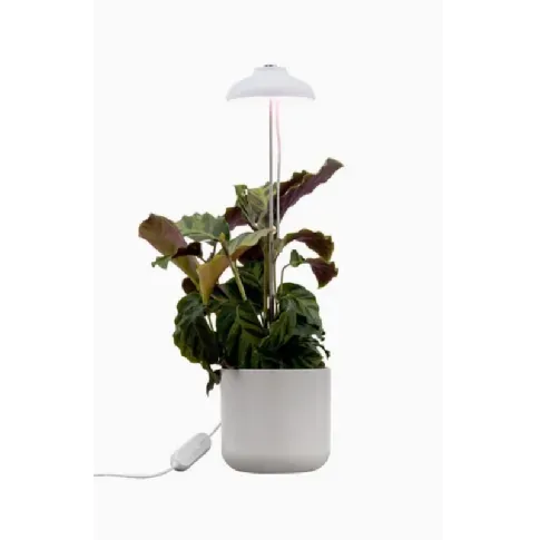 Bilde av best pris AIRAM Iris Plantebelysning 5W Dim med touch Belysning,Akvarie- og vekstlamper