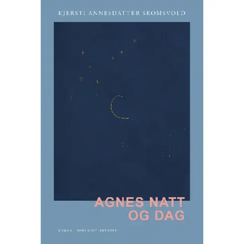 Bilde av best pris Agnes natt og dag av Kjersti Annesdatter Skomsvold - Skjønnlitteratur