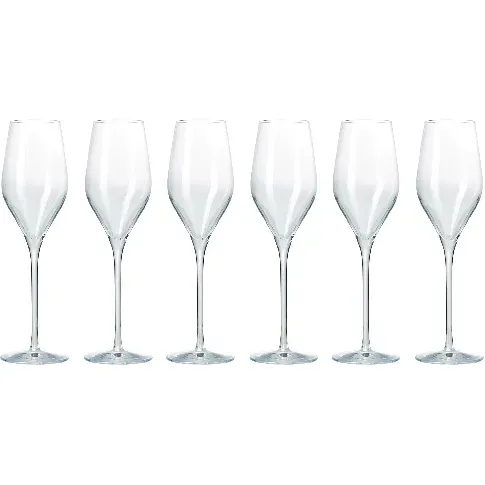Bilde av best pris Aida Passion Connoisseur Champagneglass, 6 stk Champagneglass