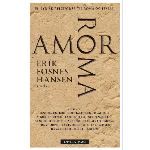Bilde av best pris Amor Roma av  - Skjønnlitteratur