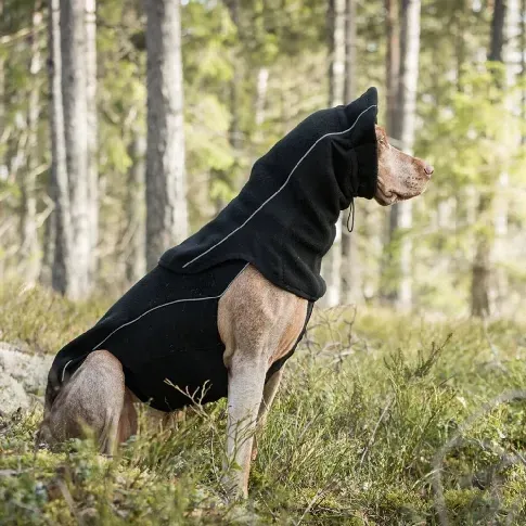 Bilde av best pris Back on Track Benji Nakkevarmer til Hund (L) Hund - Hundeklær - Hundedekken