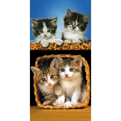 Bilde av best pris Badehåndkle - kattunger - 70x140cm – Lekker og myk kvalitet Håndklær