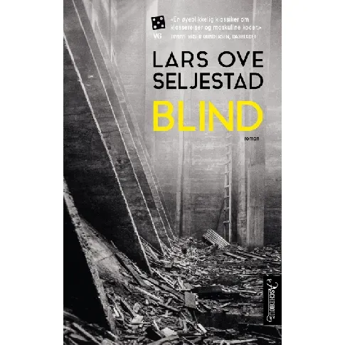 Bilde av best pris Blind av Lars Ove Seljestad - Skjønnlitteratur