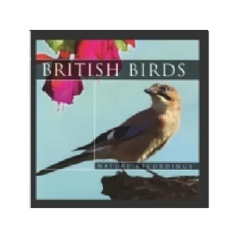 Bilde av best pris British Birds CD Film og musikk - Musikk - Vinyl