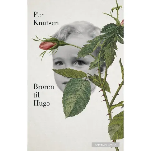 Bilde av best pris Broren til Hugo av Per Knutsen - Skjønnlitteratur