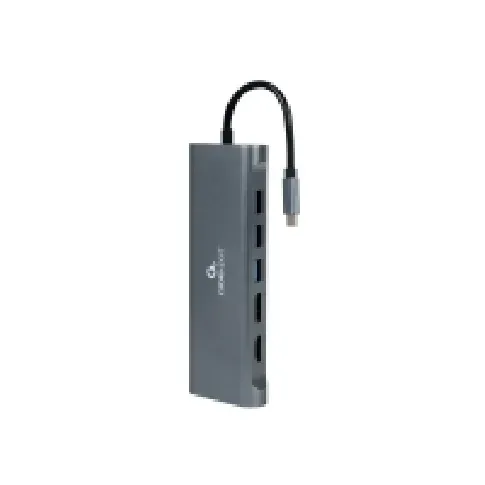 Bilde av best pris Cablexpert A-CM-COMBO8-01 - Dokkingstasjon - USB-C 3.1 - VGA, HDMI, DP - 1GbE PC & Nettbrett - Bærbar tilbehør - Portreplikator og dokking