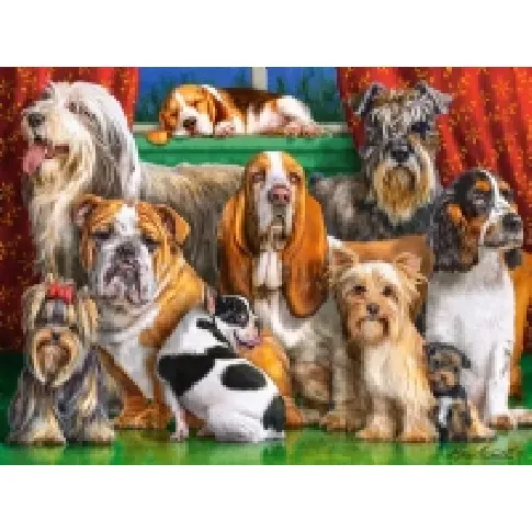 Bilde av best pris Castorland Dog Club, 3000 stykker, Dyr, 9 år Leker - Spill - Gåter