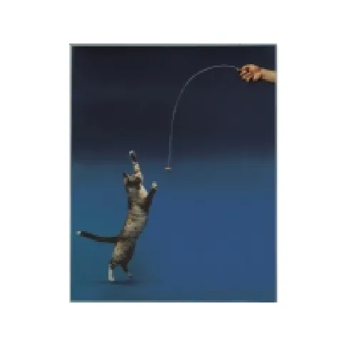 Bilde av best pris Cat Dancer 1 st Kjæledyr - Katt - Katteleker