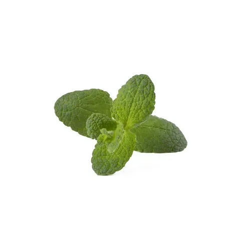 Bilde av best pris Click and Grow - Smart Garden Refill 3-pack - Apple Mint (SGR79X3) - Hjemme og kjøkken