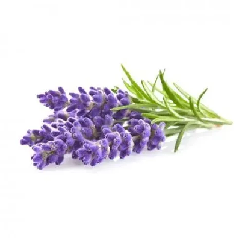 Bilde av best pris Click and Grow - Smart Garden Refill 3-pack - Lavender (SGR30X3) - Hjemme og kjøkken