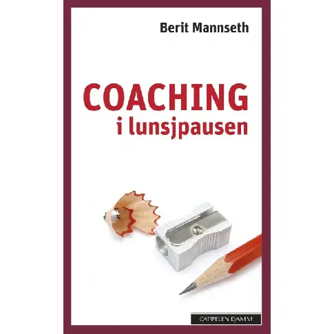 Bilde av best pris Coaching i lunsjpausen - En bok av Berit Mannseth