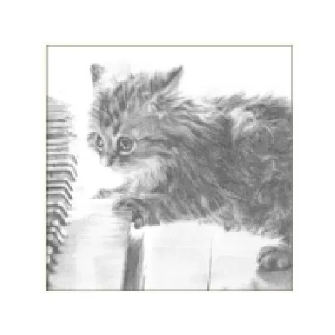 Bilde av best pris DA VINCI Picket cat on the piano sketch 16x16 cm + envelope (B4D 224 003) Barn & Bolig - Dekorasjon - Gaveartikler