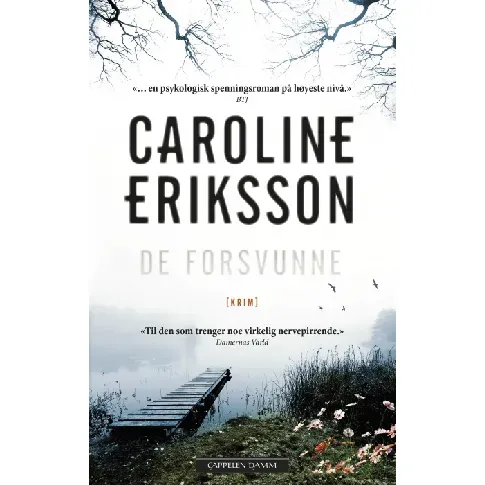 Bilde av best pris De forsvunne - En krim og spenningsbok av Caroline Eriksson