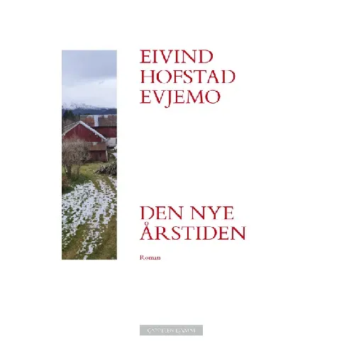 Bilde av best pris Den nye årstiden av Eivind Hofstad Evjemo - Skjønnlitteratur