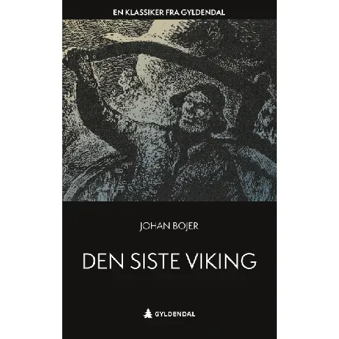Bilde av best pris Den siste viking - En krim og spenningsbok av Johan Bojer